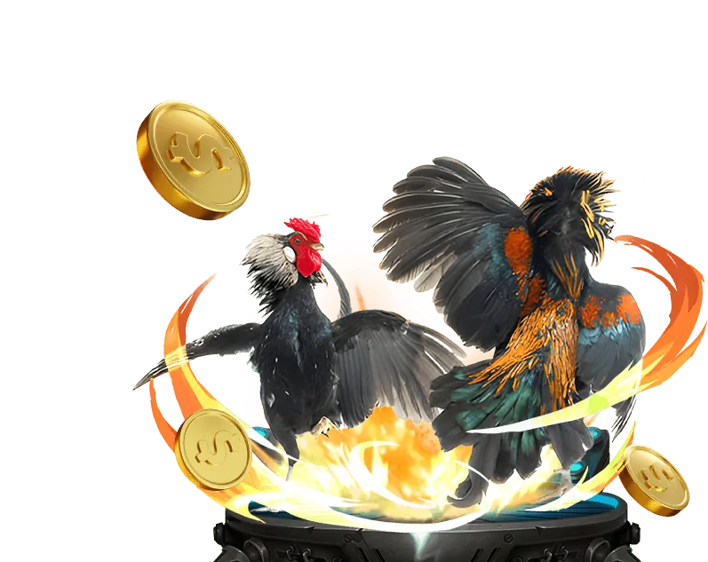 Cá cược thể thao với các trận bóng đá và các môn thể thao khác